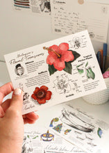 Load image into Gallery viewer, Lokapedia: Malaysia's Floral Treasures - Postcard