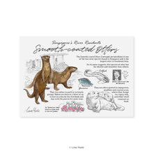 Load image into Gallery viewer, Lokapedia Singapore: Smooth-coated Otters - Singapore Postcard