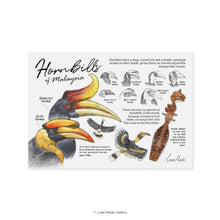 Load image into Gallery viewer, Lokapedia: Hornbills of Malaysia - Postcard
