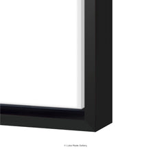 Load image into Gallery viewer, Road To Unity - Canvas Wall Art