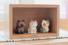 Load image into Gallery viewer, My Home Cat Blind Box Series 2 (random)
