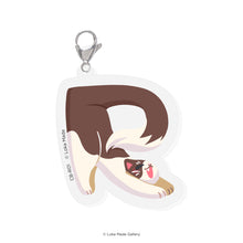 Load image into Gallery viewer, Comeow Cat-R Icon
