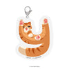 Comeow Cat-Y Icon