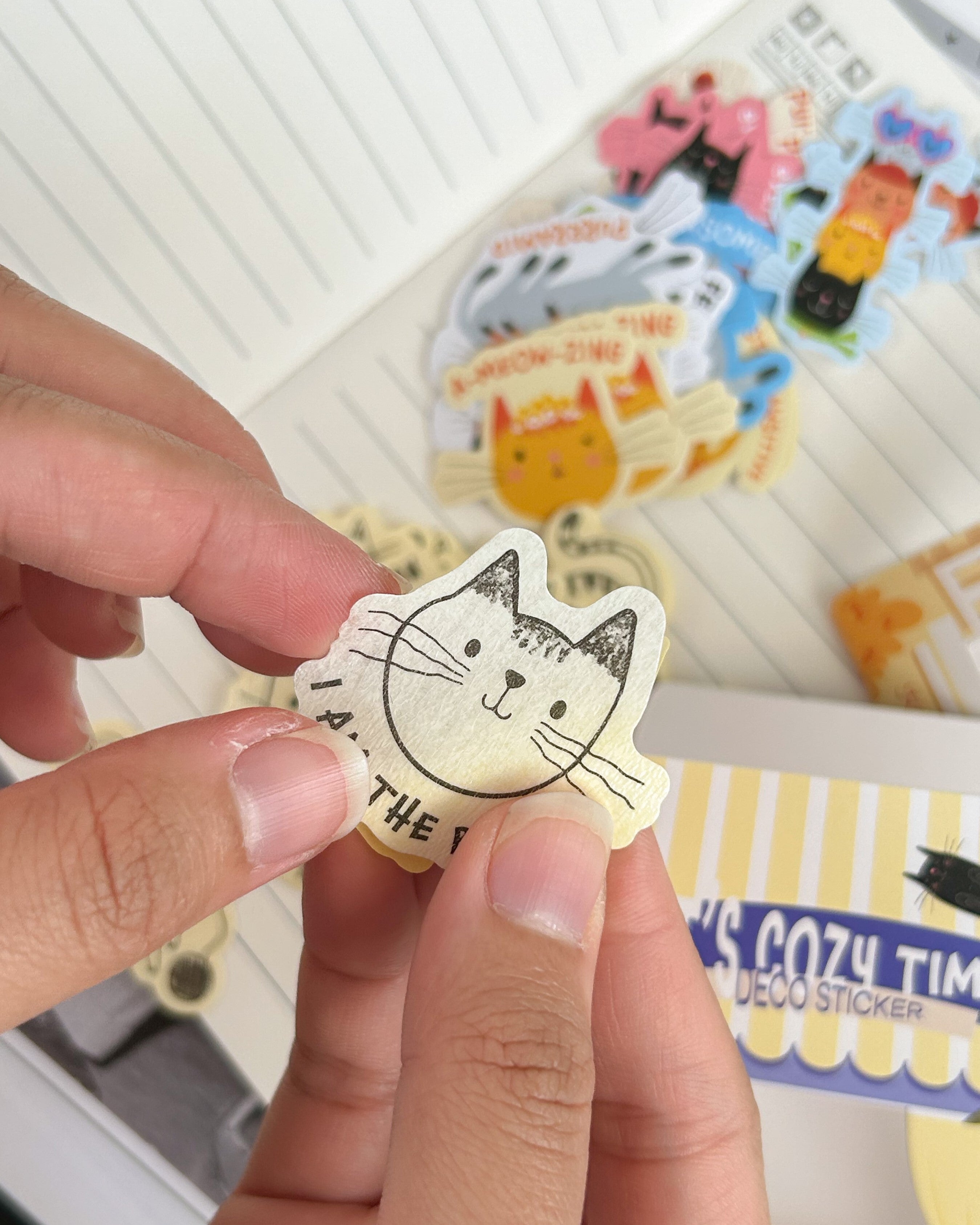 Ken Smiths x Loka Made 'It's Play Time' - Deco Sticker