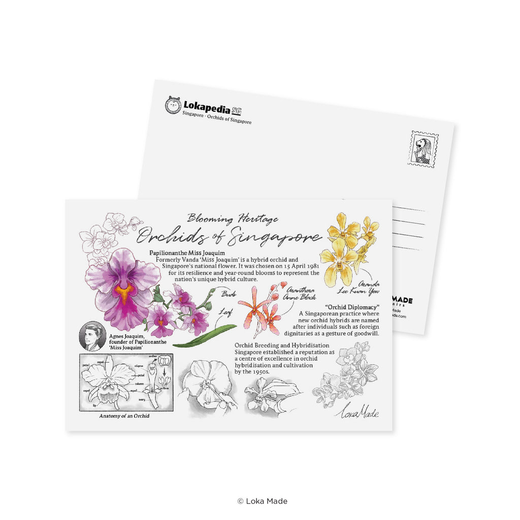 Lokapedia Singapore: Orchids Of Singapore - Singapore Postcard