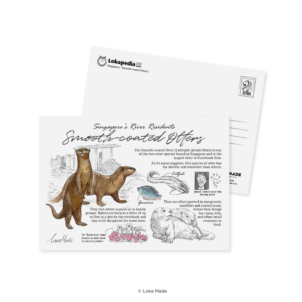 Lokapedia Singapore Postcard Collectible Set C (8 in 1)