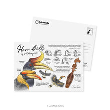 Load image into Gallery viewer, MSP153 Lokapedia: Hornbills of Malaysia
