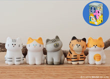 Load image into Gallery viewer, My Home Cat Blind Box Series 2 (random)
